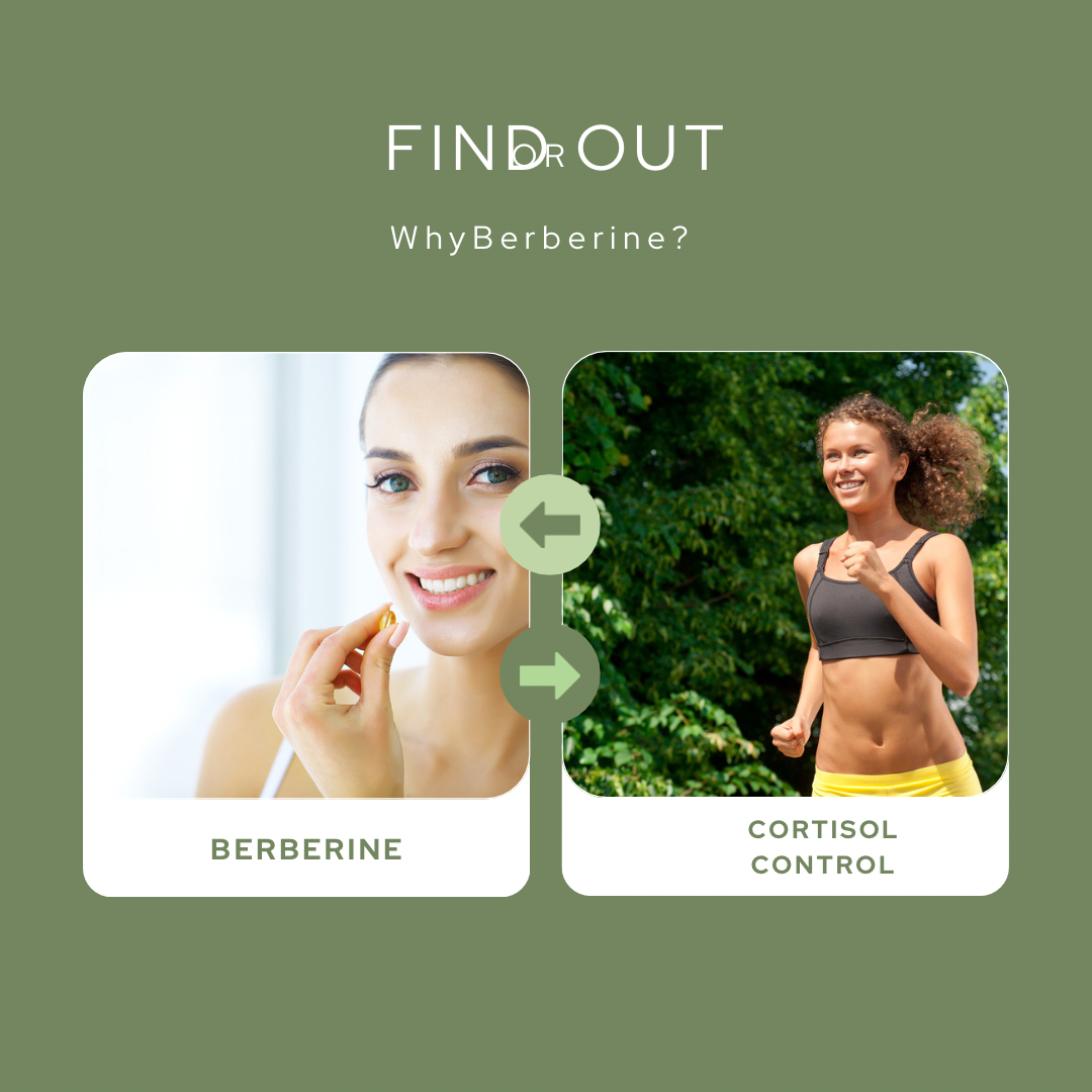 "Why Berberine is a Must-Have Ingredient in Your Weight Loss Supplement"